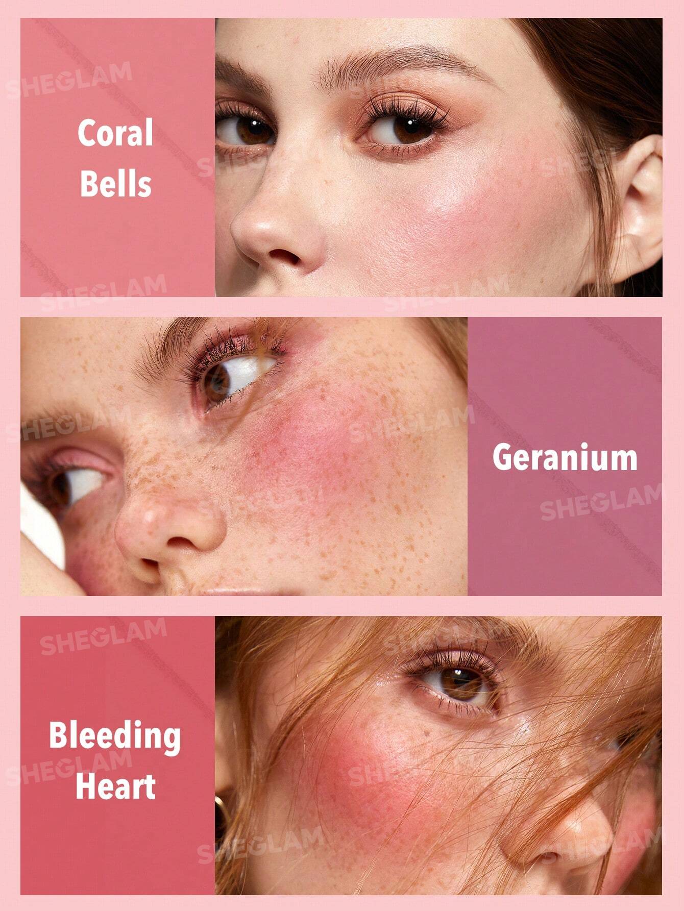 پالت رژ گونه شیگلم مدل Floral Flush — Blushing Bouquet — نمای ۳