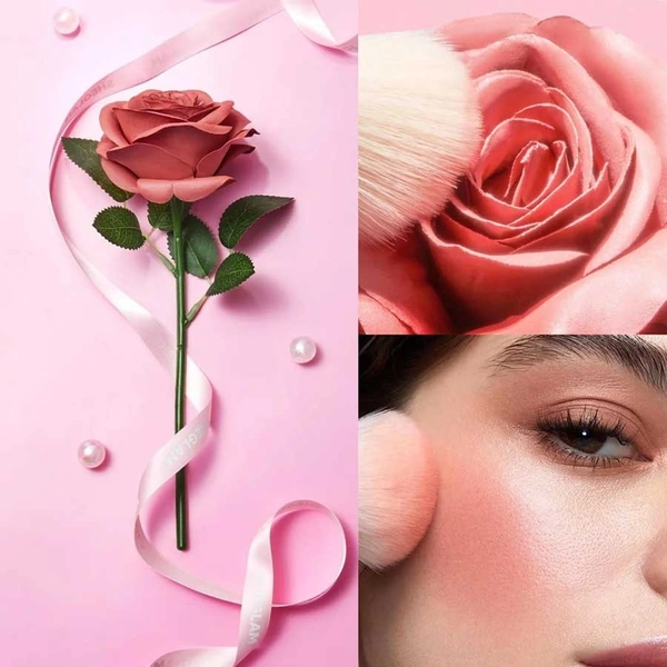 رژ گونه گل رز شیگلم — نمای ۲